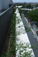 thumbnail no. 5 ofApartment No. 02 project, designed by Ahmad Ghodsimanesh & Partners